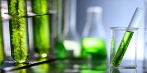 ZEMBA сократит выбросы на 500 000 тонн с помощью электронного топлива