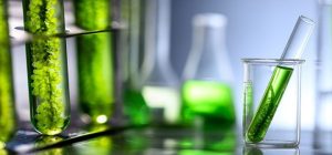 ЕС может приостановить сертификацию биотоплива ISCC из-за мошенничества